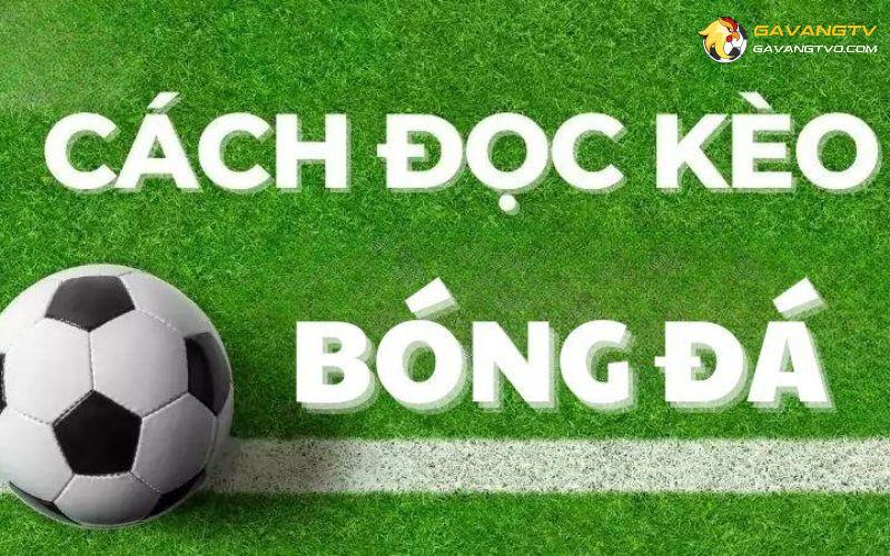 Cách tính tiền thắng thua trong kèo Châu Âu