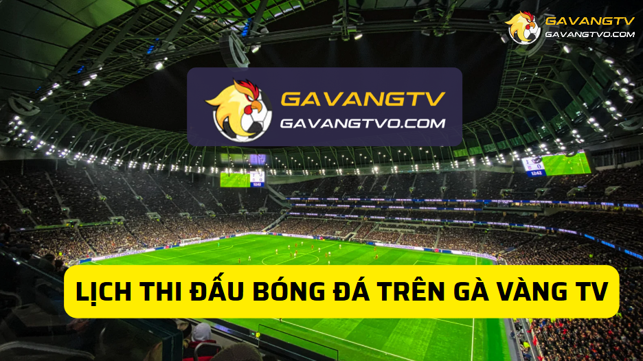 Lịch thi đấu cập nhật trên Gà Vàng TV